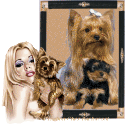 concours_animaux_tricoval1.gif